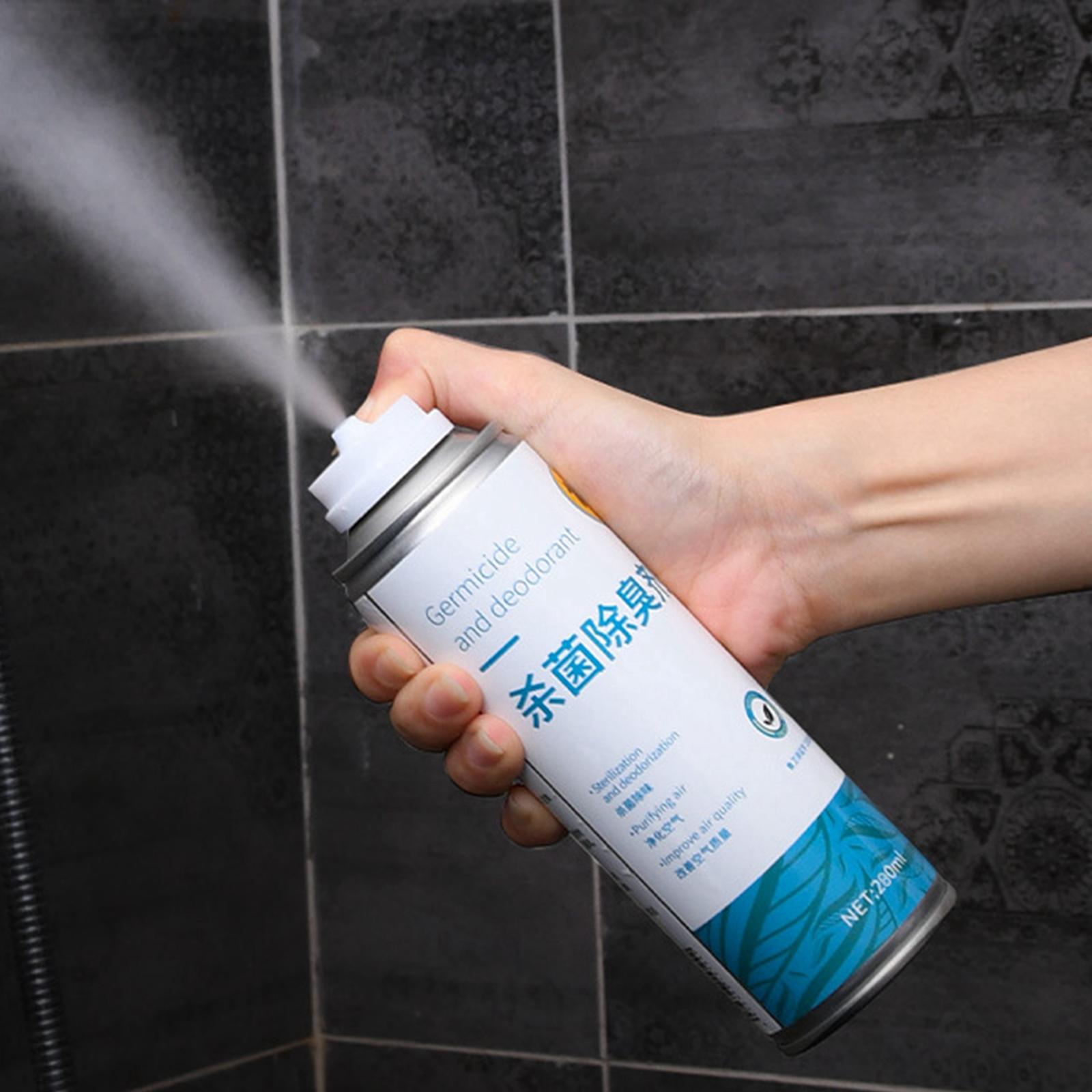 280ml Multifunktions-Auto-Luft – Home Spray Fragrance Bewertung und Preis