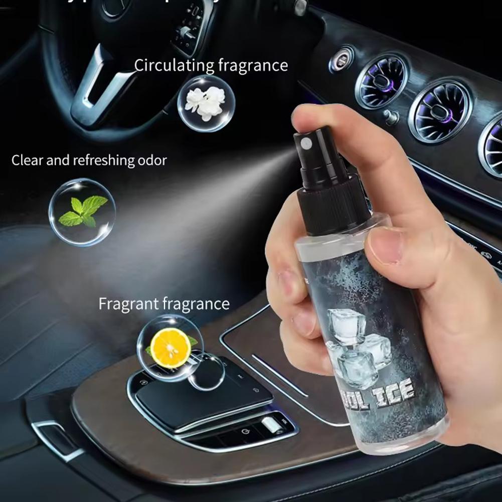 100ML Auto-Lufterfrischer-Spra – Home Spray Fragrance Bewertung und Preis