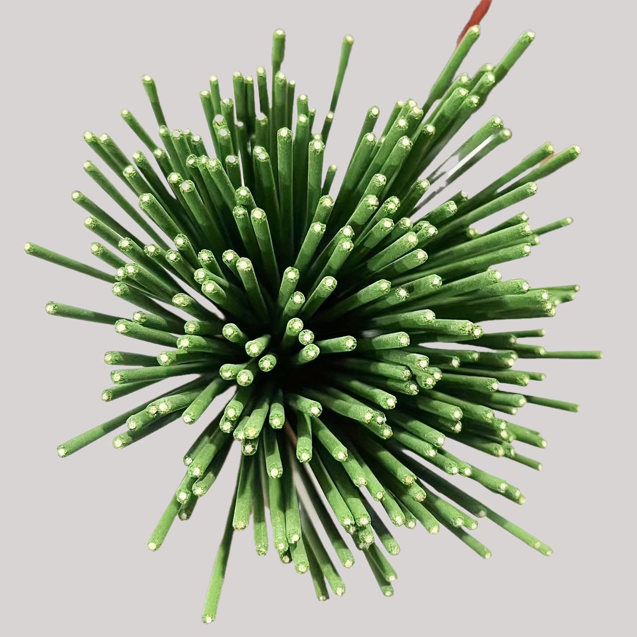 Reed Diffuser Sticks Zitroneng – Home Fragrance M&S Disinfectant Hack Bewertung und Preis