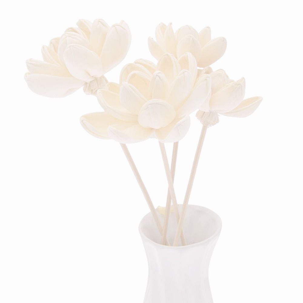 Duftende Blumen für Zuhause, h – Home Fragrance Incense Sticks Bewertung und Preis